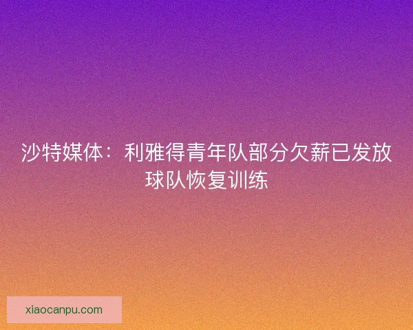 沙特媒体：利雅得青年队部分欠薪已发放球队恢复训练