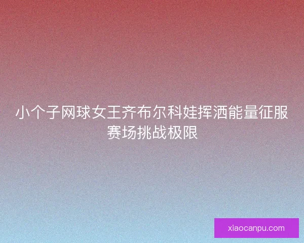 小个子网球女王齐布尔科娃挥洒能量征服赛场挑战极限
