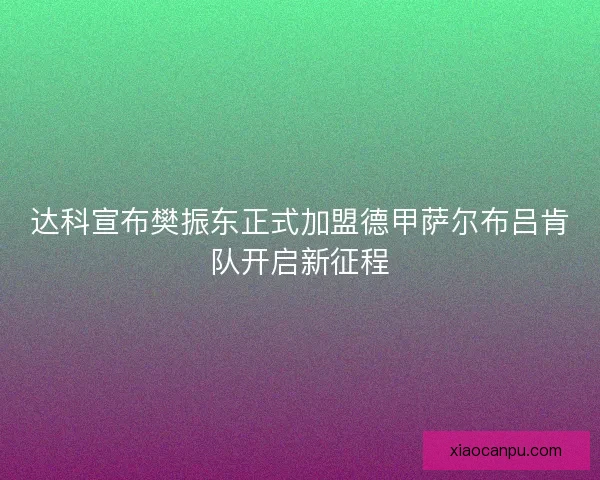 达科宣布樊振东正式加盟德甲萨尔布吕肯队开启新征程