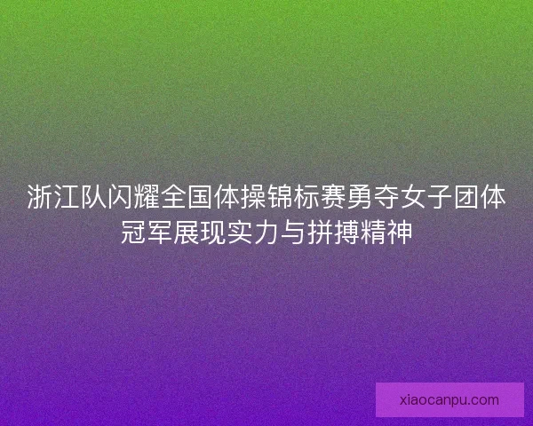 浙江队闪耀全国体操锦标赛勇夺女子团体冠军展现实力与拼搏精神