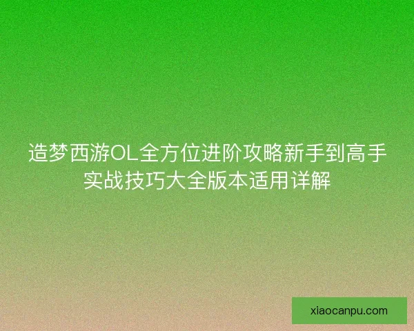 造梦西游OL全方位进阶攻略新手到高手实战技巧大全版本适用详解