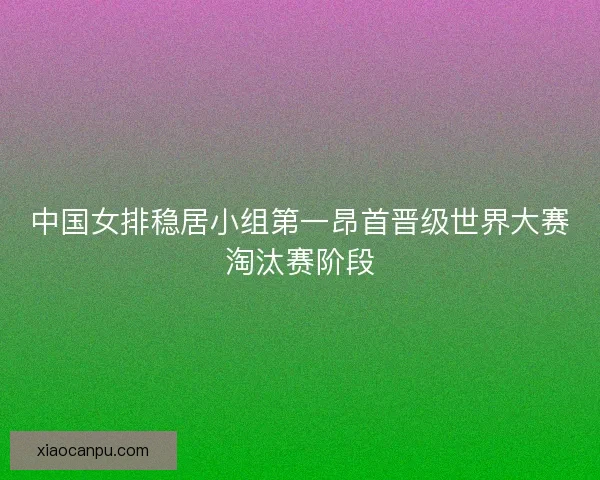 中国女排稳居小组第一昂首晋级世界大赛淘汰赛阶段